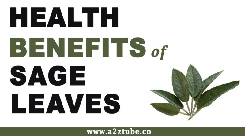 Health Benefits of Sage Leaves Tea